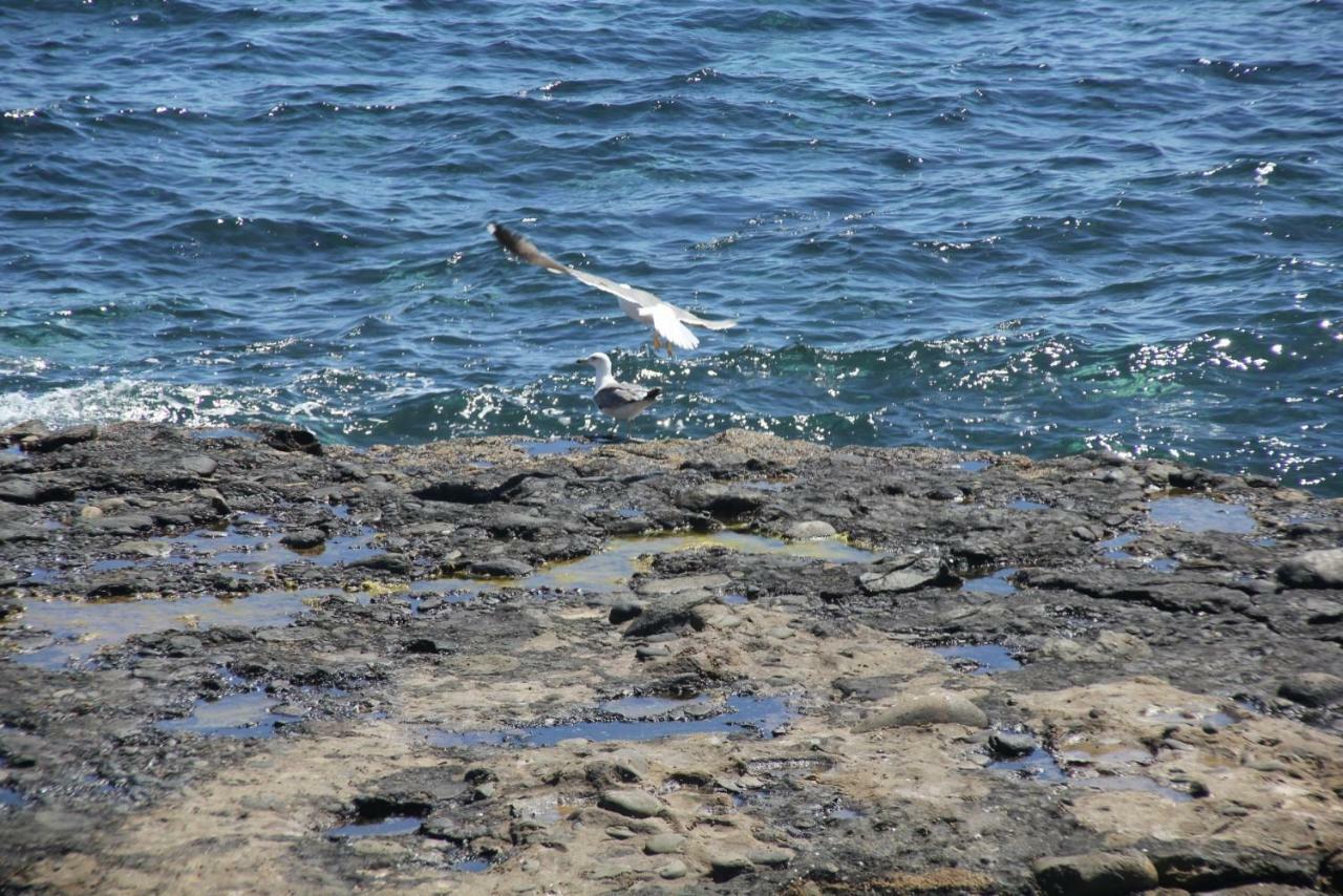 Seagull Estudios Pozo Izquierdo Экстерьер фото